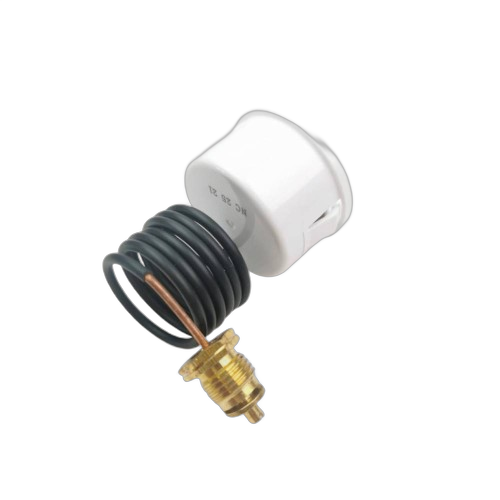 Manometru Ferroli Divacondens 39848670